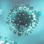 Sars-Cov-Virus