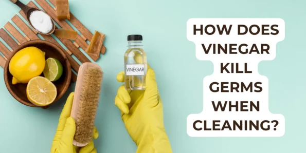 How Does Vinegar Kill Germs When Cleaning