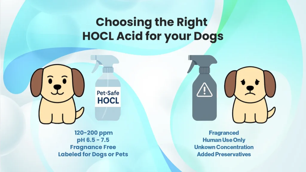 Choosing the Right Hypochlorous Acid Products for Dogs