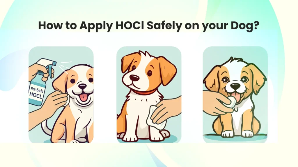How to Use Hypochlorous Acid on Your Dog