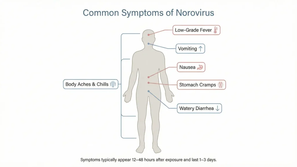 Symptoms of Norovirus