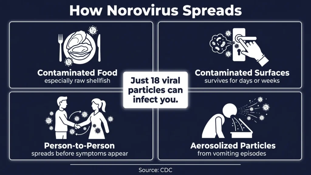 How Contagious Is Norovirus, Really