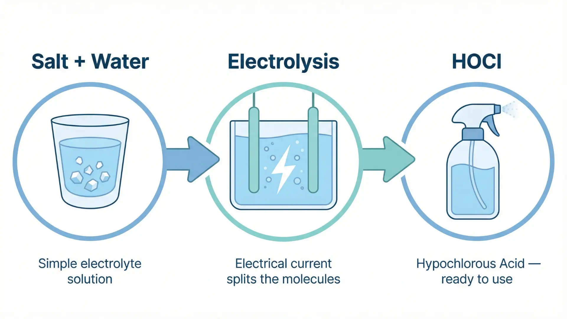 What Is Hypochlorous Acid, Exactly